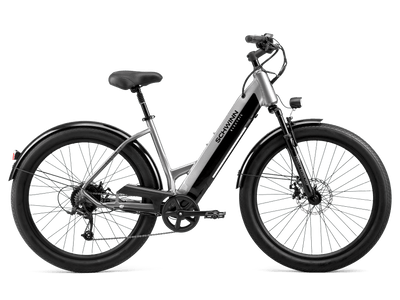 Echo Double Bike Trailer Schwinn