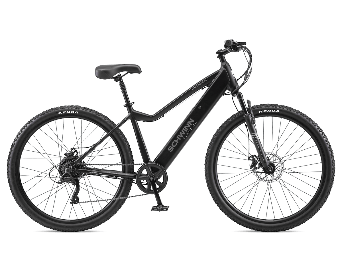 Assist deluxe electric bike sale