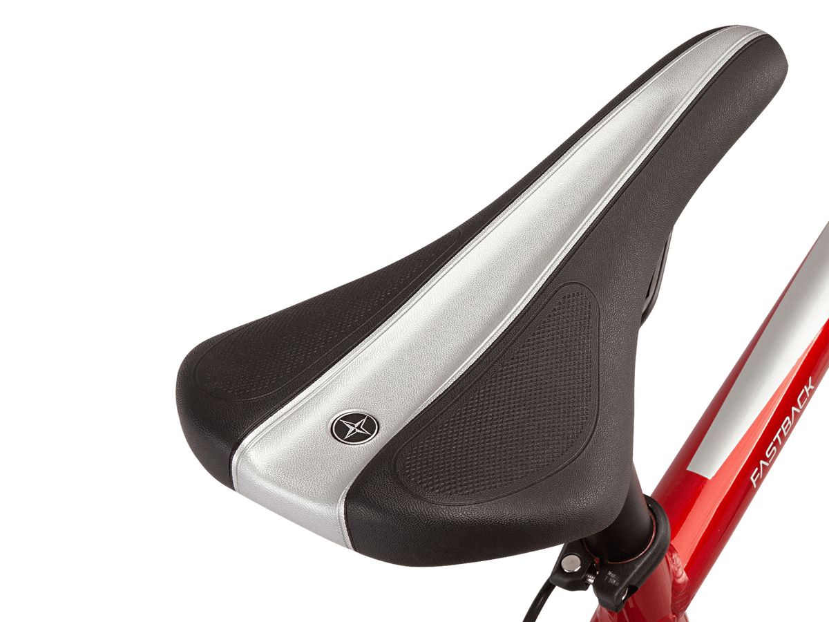 Schwinn fastback tourney shop al